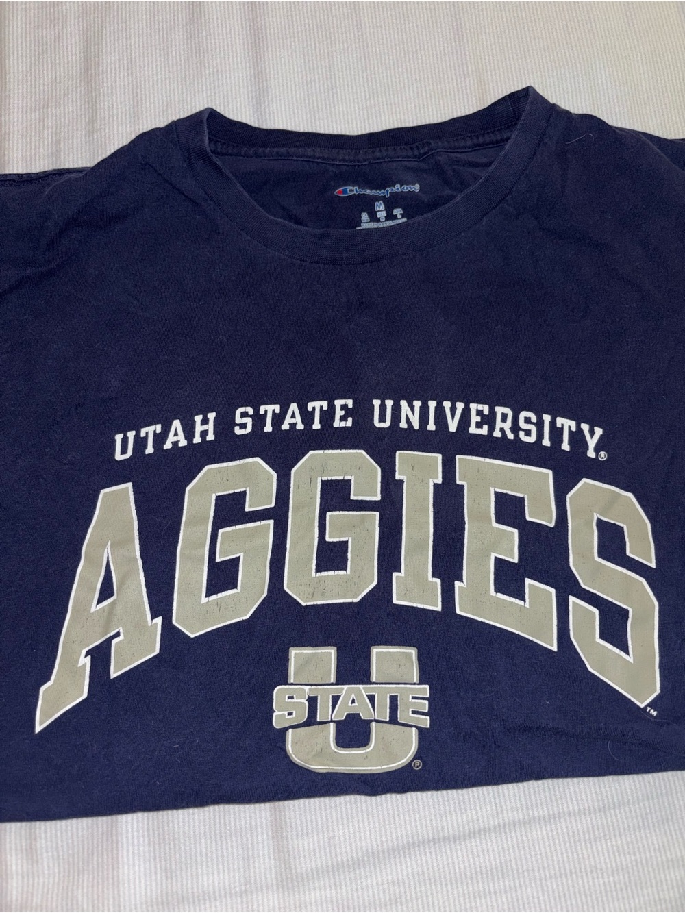 Champion Navy Utah State Aggies Graphic Tee